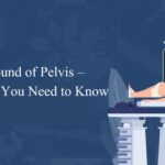 Ultrasound of Pelvis – Everything You Need to Know